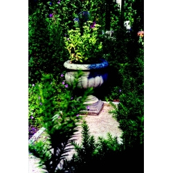 Stone Buckingham Urn